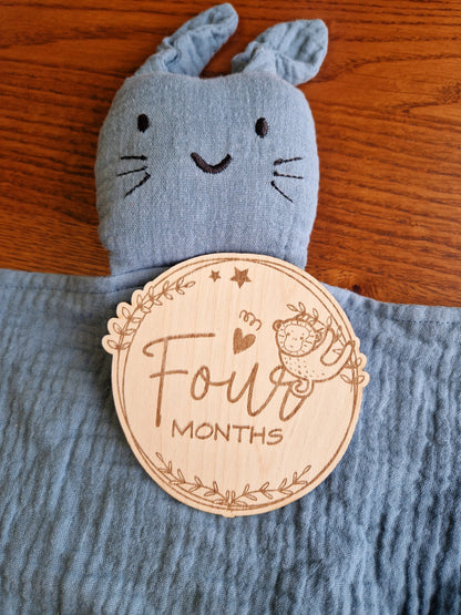 12 Baby Monthly Milestones