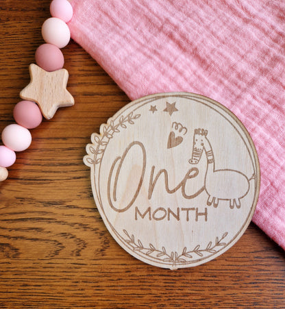 12 Baby Monthly Milestones